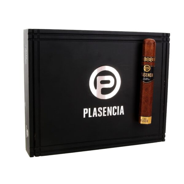 Plasencia Alma Fuerte Sixto ll Hexagon 6x60 Box Pressed - Image 2